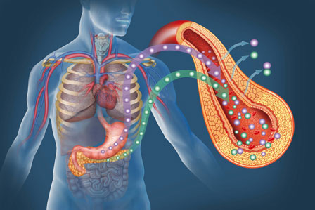 <strong>Diabetes Complications</strong>