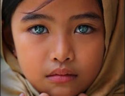 I – Facts: Amazing Eyes